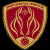 Logo S.C. St Thiberien (E)