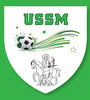 Logo St Martin Londres Us