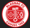 Logo Blagnac Fc