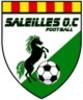 Logo Saleilles O.C