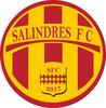 Logo Salindres Fc