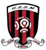 Logo Salies Mane Us