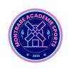 Logo Montrabe Academie