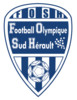 Logo F. O. Sud Herault (D)