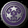Logo A.S Critourienne