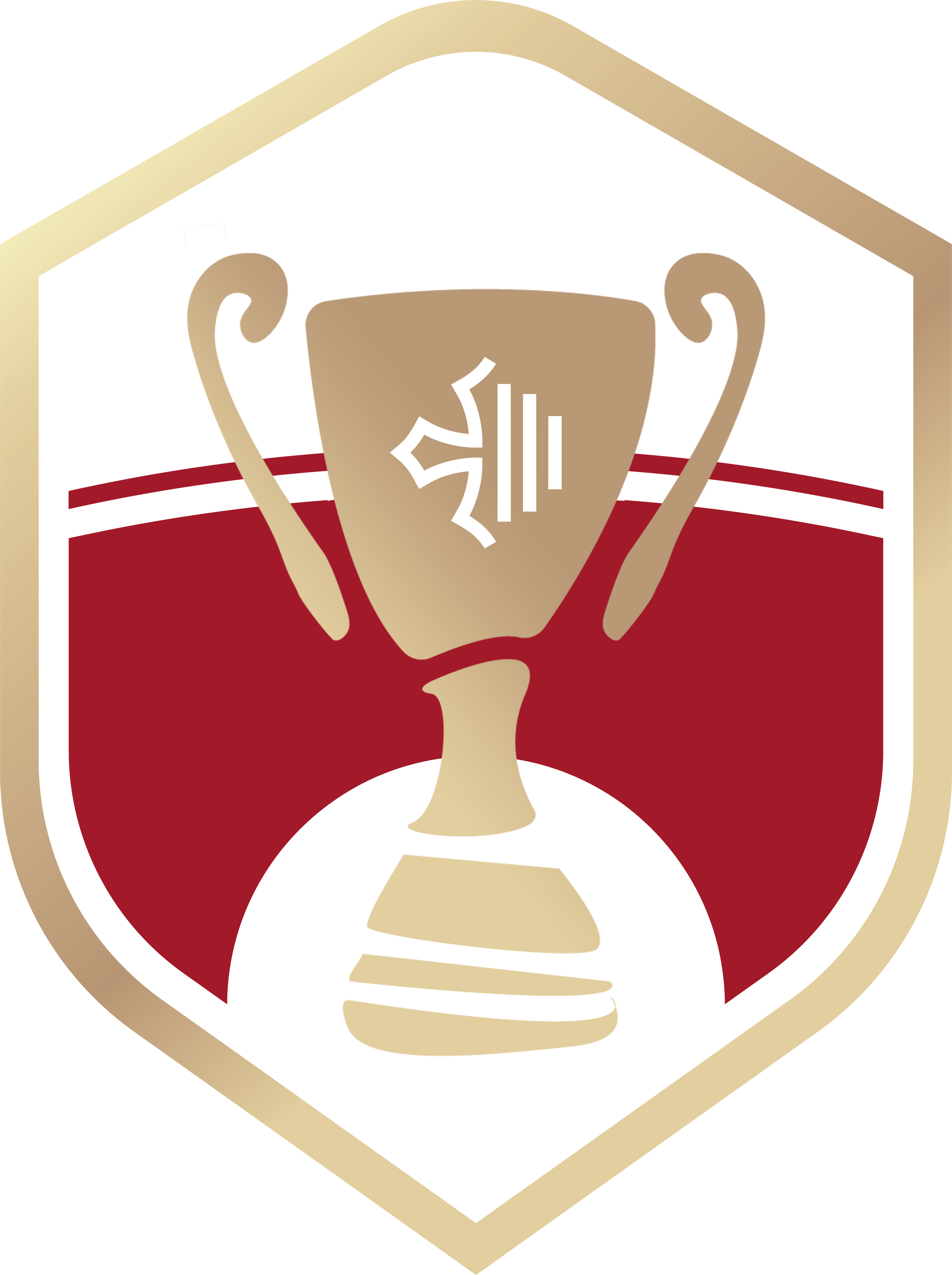 Logo Coupe Occitanie Seniors