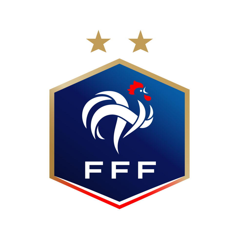 Logo Futsal D1 Fem.